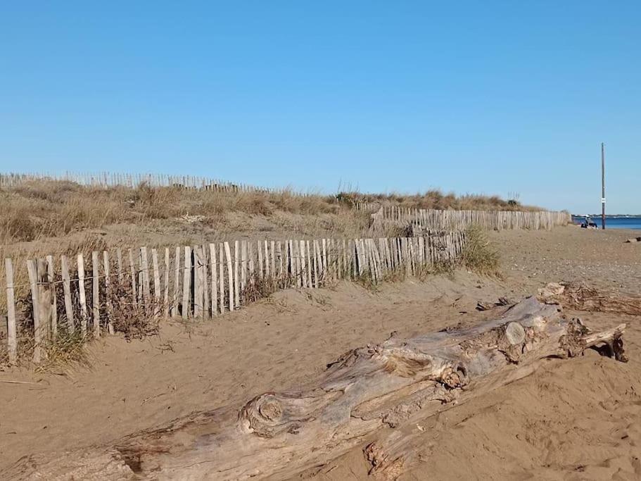 Studio Au Cap D'Agde Dans Les Pinedes المظهر الخارجي الصورة