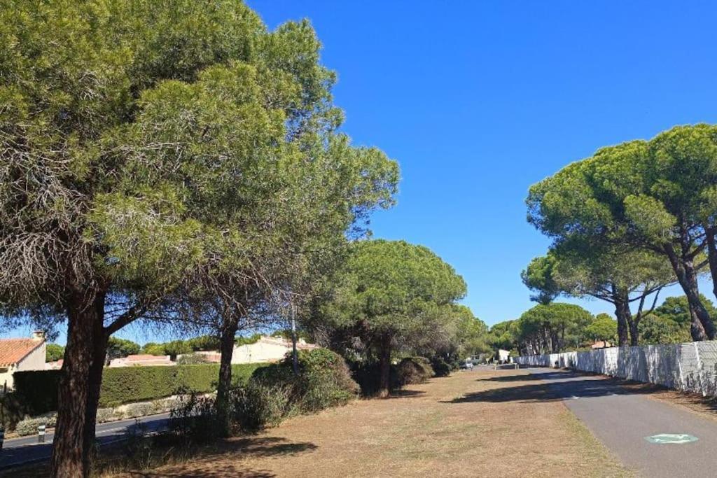 Studio Au Cap D'Agde Dans Les Pinedes المظهر الخارجي الصورة